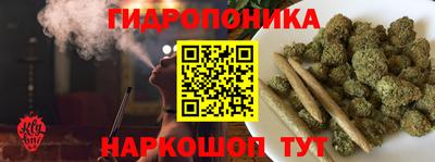 стафф Донецк