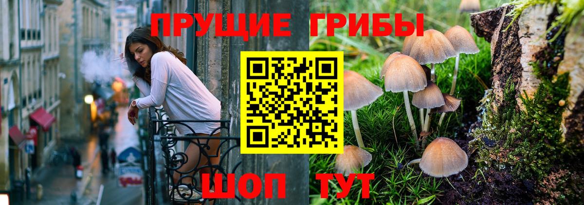 Псилоцибиновые грибы прущие грибы  Галлюциногенные грибы Psilocybe  Вход с VPN  Еманжелинск 